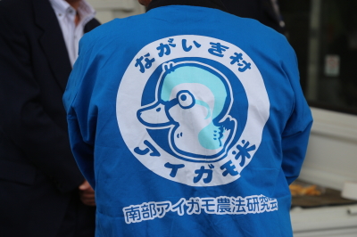 アイガモ(合鴨)農法放鳥式in千葉県長生村2018春画像