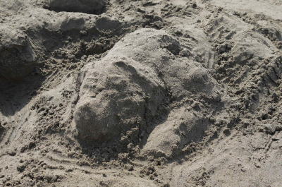 砂の芸術、人と犬画像