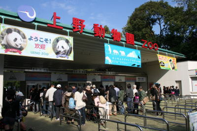 上野動物園画像