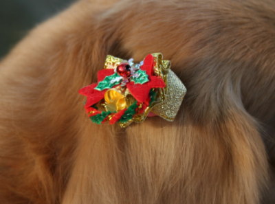 犬用クリスマスリボン画像