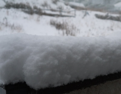 2014年02月08日大雪画像