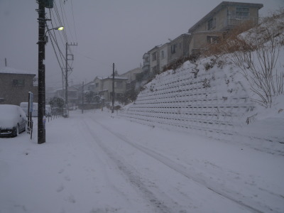 2014年02月08日大雪画像