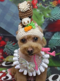 トイプードルのルナちゃん♪クリスマス衣装で可愛く3変化！
こんにちは！
A HAPPY DOG LIFEです。
本日も可愛いわんちゃんがトリミングに来てくれました♪

■ クリスマスフォトでキュートに撮影！
本日はトイプードルのルナちゃんがご来店✨
歯磨きとバイオガンスシャンプー＆コンディショナーもご利用いただき、トリミングですっきり綺麗になりました！
体は5mm、足は10mm、お顔はテディベアカットで、お耳は短く丸く仕上げています。

トリミング後の記念撮影では、12月からの新しい背景、クリスマスバージョンでパチリ📸
ニット帽やクリスマスツリーの衣装など、3種類のコスチュームでとっても可愛くポーズを決めてくれました💕
どのルナちゃんも素敵で、選ぶのが迷ってしまいますね！

■ わんちゃんに優しいトリミングと楽しい写真撮影
当サロンでは、わんちゃん一頭一頭に時間をかけ、負担の少ない丁寧な施術を心がけています。
トリミング後には、毎月変わる可愛い背景セットで記念撮影！ 約300着の被り物や洋服の中から、お気に入りの一枚を撮影できます。
撮影したお写真のデータはもちろん無料でお渡ししていますので、毎回大好評です♪

■ 料金の目安（トイプードル 5.5kg未満の場合）
・シャンプーコース：4,980円（税込）
・シャンプーカットコース：5,980円（税込）
・トリミングコース：7,980円（税込）～
※トリミングコースは、前回のトリミングからの日数によって料金が変動します。
※45日以内のご利用が大変お得です。詳しくはお問い合わせください。

🐾トリマーブログはこちらから🐾
https://doging.com/category/trimmer/

#トイプードル #クリスマスフォト #トリミングサロン #千葉トリミング #ペットのいる暮らし #鎌ケ谷 #犬のいる生活 #被り物フォト #ペット写真
