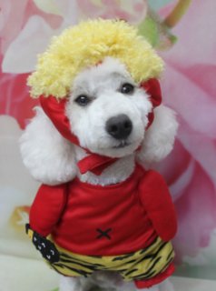 トイプードルのだいふくくん♪ 花柄背景で「Happy」春色ベアカットフォト！
こんにちは！ 有限会社A HAPPY DOG LIFEです。本日も可愛いわんちゃんがトリミングに来てくれました♪

■ だいふくくん、すっきりベアカット＆ピンクリボンでおめかし

本日はトイプードルのだいふくくんがトリミングに来てくれました✨

本日はハーブ歯磨きと自然流シャンプーをご利用いただきました。お口のケアと被毛・お肌にやさしいシャンプーで、全身をやさしく洗い上げています。

カットは、全身6ミリですっきりカット。日常のお手入れがしやすい長さに整えつつ、体のラインがきれいに見えるようバランスを見ながら仕上げました。お顔は丸く整えたベアカットスタイルで、黒くまんまるなおめめとちいさな黒いお鼻がよく見えるようにカットしています。お耳もスッキリ短めに整え、元気で幼い印象のだいふくくんにぴったりのおめかしスタイルになりました♪

首元には、中央に小さなストーンがきらっと光るピンクのリボンチョーカーをコーディネート。白い被毛とのコントラストで、春のお出かけにもぴったりの可愛らしいワンポイントになっています。

■ 花柄背景＆「Happy」ロゴマットで春色記念フォト📸

トリミングのあとは、お楽しみの記念撮影タイム♪

背景には、淡いピンクと黄色のお花が一面に描かれた、春らしいフラワーデザインのセットをセレクトしました。やわらかくぼかした花びらがふんわりと広がり、だいふくくんの明るいホワイトの被毛をさらに引き立ててくれます。

足元のマットには、グリーンの葉とピンクのお花のモチーフ、そして紫色の筆記体で「Happy」の文字が描かれています。その上でだいふくくんがちょこんと立ちポーズをとり、口を少し開けて舌をちろっと出しながらカメラをまっすぐ見つめてくれました。花柄背景とピンクのリボン、「Happy」ロゴマットの組み合わせで、見ているこちらまで笑顔になる、春のごあいさつにもぴったりの一枚になりました💕

■ オプションご利用のわんちゃんには帽子フォトもご用意しています

当サロンでは、オプションをお選びいただいたわんちゃんには、帽子を被ったスタイルでの記念撮影も行っています。

季節に合わせた帽子や、鬼さん風ニット帽、動物の着ぐるみ風コスチュームなど、楽しいアイテムを多数ご用意。だいふくくんも、鬼さんスタイルやクマさんスタイルなど、いろいろなお洋服＆帽子で可愛くおめかしして撮影させていただきました♪

いつものトリミングに、ちょっと特別な1枚をプラスしたい方は、ぜひオプションメニューもあわせてご利用ください。

■ わんちゃんに優しいトリミング＆毎月変わる無料フォト

当サロンでは、わんちゃん一頭一頭にしっかり時間をかけ、負担の少ない丁寧な施術を心がけています。トリマーにも無理のない頭数調整を行い、落ち着いた環境のなかでトリミングを行うことで、わんちゃんがリラックスして過ごせるよう配慮しています。

トリミング後には、毎月変わる背景セットで記念撮影♪ 季節に合わせた背景に、首飾りやリボン、蝶ネクタイ、帽子、洋服など、わんちゃんの可愛さを引き立てるアイテムを多数ご用意しています。

被り物・洋服は約300着の中から、その子の雰囲気や毛色に合わせてお選びいただけます。撮影したお写真のデータは無料でお渡ししていますので、ご家族での記念や季節のごあいさつ用のお写真として、ぜひご活用ください。

■ だいふくくんの料金目安（トイプードル 5.5kg未満想定）

シャンプーコース：4,980円（税込）
シャンプーカットコース：5,980円（税込）
トリミングコース：45日以内 7,980円（税込）／46～52日 8,420円（税込）／53～59日 8,860円（税込）／60日以上 9,300円（税込）
※犬の体格・毛量・月齢・オプション内容により、所要時間・料金は変わる場合があります ※トリミングコースは前回のトリミングからの日数により料金が変動します。45日以内のご利用がお得です

========================
🐾トリマーブログはこちらから🐾
https://doging.com/category/trimmer/
========================

【有限会社A HAPPY DOG LIFE】
住所：千葉県鎌ケ谷市西道野辺8-18
営業時間：9:00～17:30
定休日：不定休（事前予約・問い合わせ推奨）
駐車場：あり（事前確認推奨）
支払方法：記載なし
特徴：トリマー一人あたり1日2頭＋αの丁寧な施術で、わんちゃんにもトリマーにも負担の少ないトリミングサロンです。トリミング後は、年13回変わる背景＆約300着の被り物・洋服での記念撮影データを無料でお渡ししています。

#トイプードル #トリミングサロン #鎌ケ谷 #犬のいる暮らし #ペットフォト