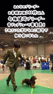 みんなのブリーダーお客様評価340件以上の勾梅健司ブリーダー。
昔ドッグショーで審査員をされていた方からのご紹介で知り合いました。
僕も昔はミニチュアダックスをドックショーに出していて、JKCCHが在舎していました。

その勾梅健司ブリーダーからミニチュアダックス子犬の委託販売のご依頼です。

伊丹空港から空輸された子犬を羽田空港で受け取り、法律で定められた
48時間以上の経過観察を当犬舎で行って、埼玉県越谷市の方にお渡しをしました。

ご利用ありがとうございました！

#勾梅健司ブリーダー
#子犬の委託販売
#関東の販売協力事業所

#イニシャルDの一族
#語彙ウェブデザイナー