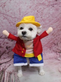 🌸《ミックス犬のまるくん》桜背景で春フォト撮影♪
＼すっきりボディ＆まんまるフェイスでおめかし／

本日はミックス犬のまるくんがご来店🐶

✂️ボディは全身3ミリカットで、日常のお手入れがしやすいすっきりスタイルに。
🩶お顔は黒いお鼻と大きなおめめがよく見える“まんまるフェイス”。
👂お耳は長め＆ふんわり整えて、やさしい表情に仕上げました。
🤎首元にはブラウンのプードルモチーフチャームをコーディネートして、おめかし完了です。

📸トリミング後は、淡いピンクの桜モチーフ背景で記念撮影。
白い被毛とテディチャーム、桜色の背景のコントラストで、春のごあいさつにもぴったりな一枚になりました。

さらに、オプションメニューをご利用いただいたわんちゃんには
季節や背景に合わせた帽子をかぶった《特別フォト》もご用意しています🎩

🪥本日はオプションでハーブ歯磨きもプラス。
トリミングと一緒にお口のケアをすることで、日頃のお手入れの負担軽減にもつながります。

当サロンでは、わんちゃん一頭一頭にしっかり時間をかけ、
負担の少ない丁寧な施術を心がけています。
毎月変わる背景セットでの記念撮影＆お写真データは《無料》でお渡し中です。
被り物・洋服は約300着の中から、その子に合わせてお選びしています👗

💰まるくんの料金目安（ヨーキー・シーズー・マルチーズ想定）
・シャンプーコース：4,480円（税込）
・シャンプーカットコース：5,480円（税込）
・トリミングコース：
　45日以内 7,480円（税込）
　46～52日 7,920円（税込）
　53～59日 8,360円（税込）
　60日以上 8,800円（税込）
※犬種・体格・毛量・月齢・オプション内容により、所要時間・料金は変わる場合があります
※トリミングコースは前回トリミングからの日数により料金が変動します（45日以内がお得です）

春の記念フォトと一緒に、トリミング＆オプションケアもぜひご利用ください🌸

【有限会社A HAPPY DOG LIFE】
住所：千葉県鎌ケ谷市西道野辺8-18
営業時間：9:00〜17:30
定休日：不定休
駐車場：あり
支払方法：現金、クレジットカード（子犬の販売に限りカード利用可）
電話：047-412-9630
お問い合わせフォーム：https://doging.com/trimming-form/
予約用URL：https://line.me/ti/p/_EB9wbOr2_#~

#トリミングサロン #鎌ケ谷トリミング #犬のいる暮らし #犬のいる生活 #ペットフォト