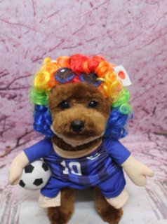 トイプードルのアオくん♪ 桜背景でサッカー日本代表＆おさるさんコスチュームフォト！
こんにちは！ 有限会社A HAPPY DOG LIFEです。本日も可愛いわんちゃんがトリミングに来てくれました♪

■ アオくん、オゾンシャワー＆カシミヤタッチシャンプーですっきりケア

本日はトイプードルのアオくんがトリミングに来てくれました✨

体は8ミリで全身をすっきりと整え、四肢はバランスよく筒状にカット。日常のお手入れがしやすく、足先までコロンとしたシルエットになるよう仕上げました。

お顔は黒くまんまるなおめめと、ちいさな黒いお鼻がよく見えるベアカットスタイルです♪ お耳は短く丸くカットして、幼い印象のぬいぐるみのような表情になりました。

さらに本日は、オゾンシャワーとカシミヤタッチシャンプーをご利用いただきました。やさしい洗い上がりで、ふんわりなめらかな手触りに整えています。

■ サッカー日本代表応援コーデ＆おさるさんコスチュームでおめかし📸

オプションメニューをお選びいただいたわんちゃんには、帽子を被った特別フォトをお撮りしています。本日のアオくんは、バリエーションたっぷりのコスチュームフォトを楽しんでくれました♪

まずは、青いサッカーユニフォームに、赤・オレンジ・黄色・緑・青のカラフルなアフロ風ウィッグ、頭には小さな日の丸リボンをオン。おててには小さなサッカーボールを持って、日本代表を応援するサポーター風コーデに！ 本日、日本代表の試合があるので、応援フォトにもぴったりの一枚になりました。

続いては、フード付きのおさるさんコスチューム。ふわふわ素材のブラウンのお洋服に、サルのお顔が描かれたフードと白いお耳、胸元の白い飾り、袖には黄色いバナナ風のモチーフが付いています。正面を向いてちょこんとおすわりした姿が、とてもキュートでした。

さらに、茶色のくまさん帽子に黒いボンボン、黄色い襟巻きと紫系のバンダナを合わせたコーデや、白地に青いリボンとフリル、カラフルなポンポンが付いたパーティー風帽子＋ビブスタイルでも撮影。どのコーデでもアオくんはカメラをまっすぐ見つめてくれて、それぞれ違った可愛さの記念フォトになりました。

背景には、淡いピンク色の桜モチーフ背景をセレクト。満開の桜の花びらが一面に描かれたセットと、カラフルなコスチュームがよく映え、春らしい華やかな雰囲気に仕上がっています。

■ わんちゃんに優しいトリミング＆毎月変わる無料フォト

当サロンでは、わんちゃん一頭一頭にしっかり時間をかけ、負担の少ない丁寧な施術を心がけています。トリマーにも無理のない頭数調整を行い、落ち着いた環境のなかでトリミングを行うことで、わんちゃんがリラックスして過ごせるよう配慮しています。

トリミング後には、毎月変わる背景セットで記念撮影を実施中です。季節に合わせた背景に、首飾りやリボン、蝶ネクタイ、帽子、洋服など、わんちゃんの可愛さを引き立てるアイテムを多数ご用意。被り物・洋服は約300着の中から、その子の雰囲気や毛色に合わせてお選びいただけます。

撮影したお写真のデータは無料でお渡ししていますので、ご家族での記念や季節のごあいさつ、応援フォトとしてもぜひご活用ください。

■ アオくんの料金目安（トイプードル 5.5kg未満想定）

シャンプーコース：4,980円（税込）
シャンプーカットコース：5,980円（税込）
トリミングコース：45日以内 7,980円（税込）／46～52日 8,420円（税込）／53～59日 8,860円（税込）／60日以上 9,300円（税込）
※犬の体格・毛量・月齢・オプション内容により、所要時間・料金は変わる場合があります ※トリミングコースは前回のトリミングからの日数により料金が変動します。45日以内のご利用がお得です

========================
🐾トリマーブログはこちらから🐾
https://doging.com/category/trimmer/
========================

【有限会社A HAPPY DOG LIFE】
住所：千葉県鎌ケ谷市西道野辺8-18
営業時間：9:00～17:30
定休日：不定休
駐車場：あり
支払方法：現金、クレジットカード（VISA／Master／JCB／American Express／Diners Club）※子犬の販売に限りカード利用可
電話：047-412-9630（トリミングのお電話は16:00～17:30にお願いいたします）
FAX：047-412-9631
WEB：https://doging.com/
トリミングお問い合わせフォーム：https://doging.com/trimming-form/
LINE予約：https://line.me/ti/p/_EB9wbOr2_#~
Instagram：https://www.instagram.com/ahappydoglife1/

#トイプードル #トリミングサロン #くまさんコスチューム #桜フォト #千葉トリミング