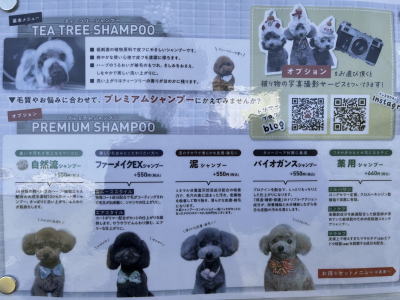 犬のトリミング、被り物・洋服の写真撮影サービス。千葉県鎌ヶ谷市船橋市のブリーダー兼トリミングサロン画像