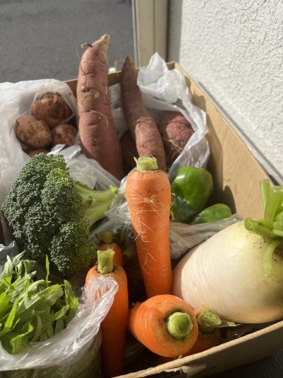 野菜画像。千葉県鎌ヶ谷市船橋市ブリーダー画像