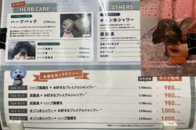 犬のトリミング、被り物・洋服の写真撮影サービス。千葉県鎌ヶ谷市船橋市市川市柏市のブリーダー兼トリミングサロンボード画像