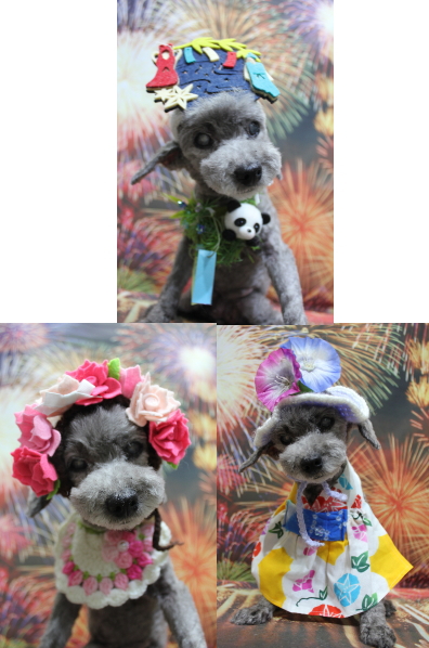 千葉県船橋市のトイプードルのトリミング画像