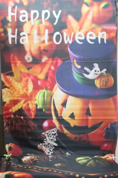 トリミングサロン、トリマー、千葉県鎌ヶ谷市船橋市市川市松戸市柏市白井市印西市千葉市、撮影サービス画像