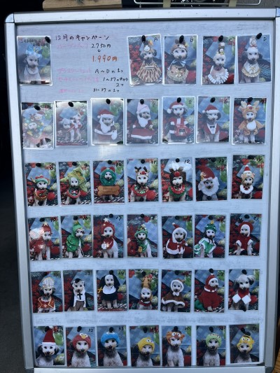 トリミングサロン、トリマー、千葉県鎌ヶ谷市船橋市市川市松戸市柏市白井市印西市千葉市、撮影サービス画像