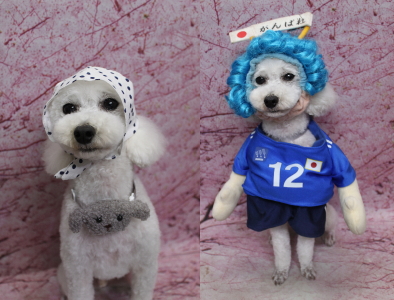 千葉県市川市のトイプードルのトリミング画像